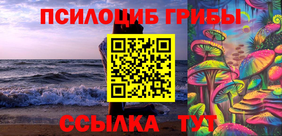 наркотики  Псилоцибиновые грибы мицелий  Вход с VPN  Вичуга 