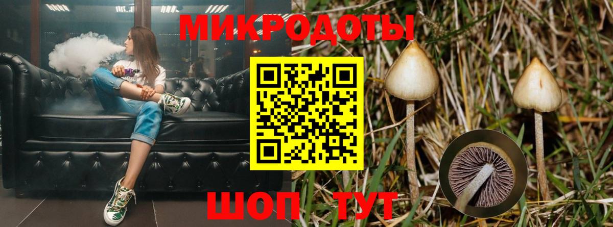 Галлюциногенные грибы MAGIC MUSHROOMS Вичуга